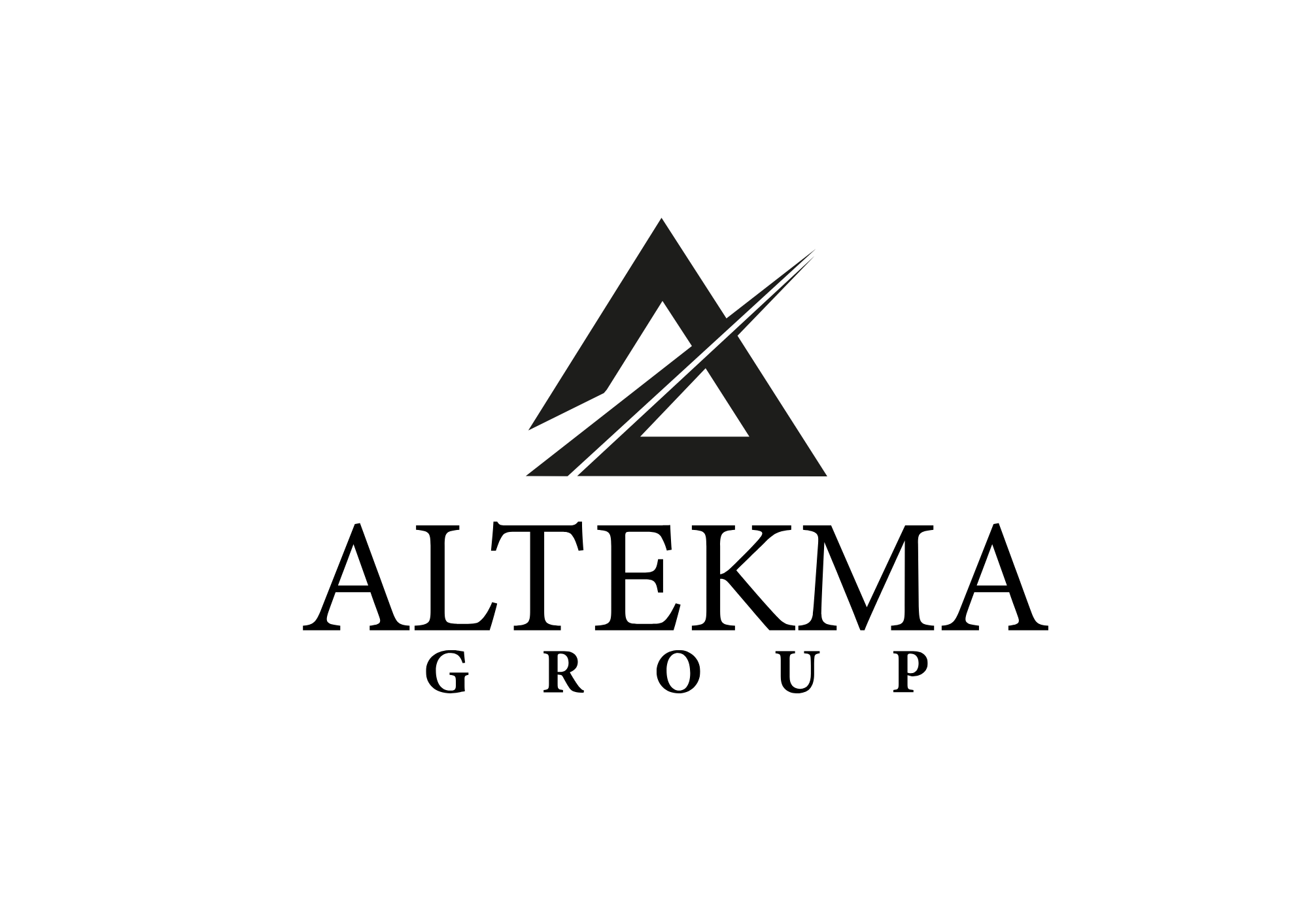 Logo de Altekma Group